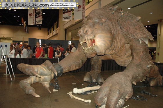 celebration VI pic 28